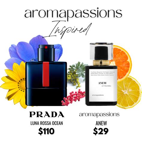 prada luna rossa dupes